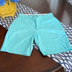 Aqua shorts by Tailorbyrd.  Mens size 30.